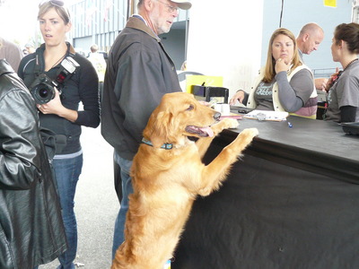 Compare extenze dosage to cialist dosage