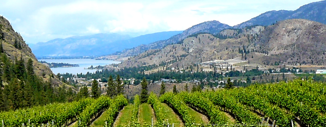 BC vineyards w lake.JPG