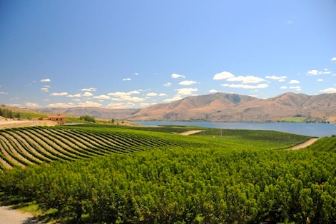 Benson-Vineyards-winetastingpage-size.jpg