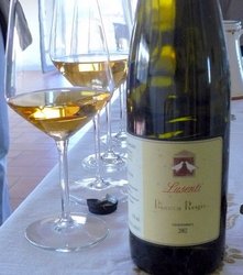 Dry%20malvasia%20at%20Lusenti.JPG