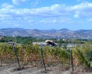 Monte%20delle%20Vigne.JPG