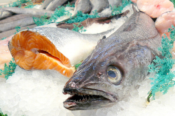 One%20man%27s%20fish%20in%20Biarritz.JPG