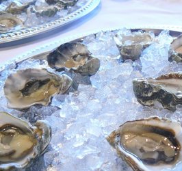 Oysters%20for%20competition.JPG