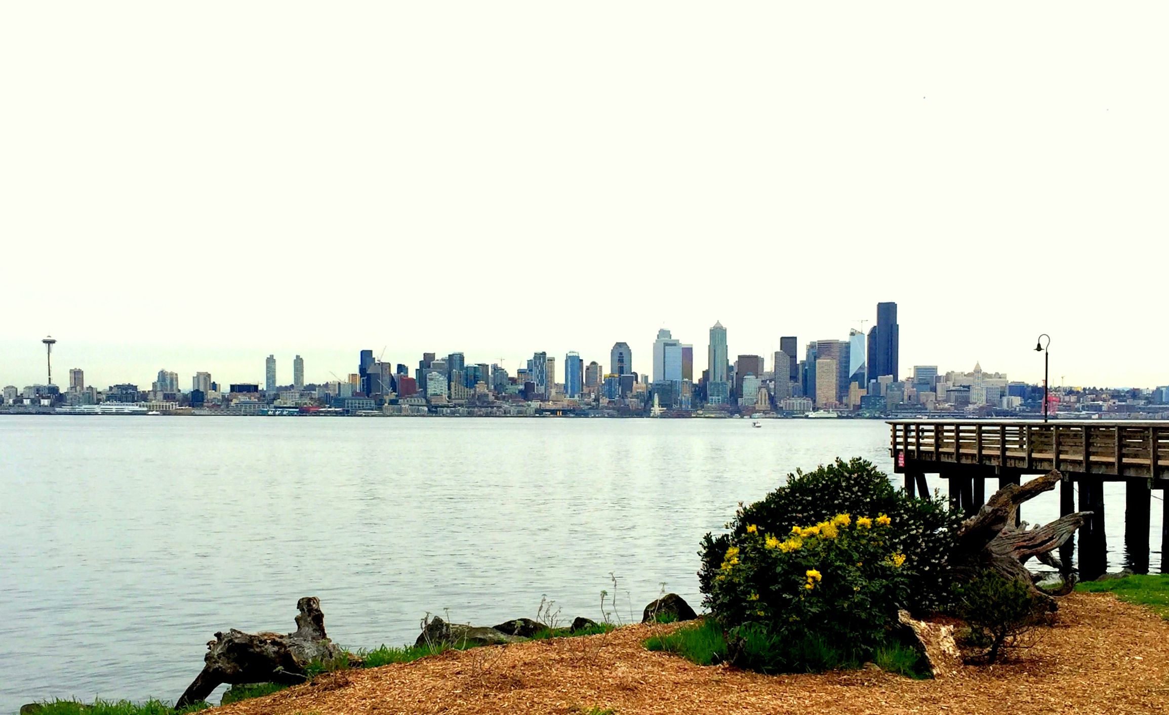 Seattke skyline from Seacrest dock - Copy - Copy.JPG