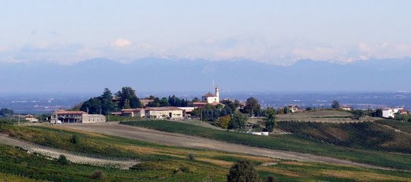 Vineyards%20near%20Piacenza.JPG