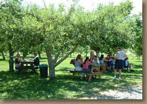 orchardpicnic.jpg