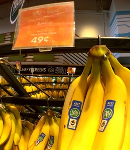 Bananas.JPG